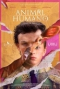 Animal (2023) 1080p 10bit DS4K NF WEBRip Hindi DDP 5.1 x265 HEVC ESUb - ANNi