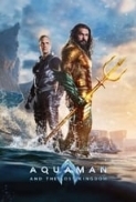 Aquaman.and.The.Lost.Kingdom.2023.1080p.WEB-DL.Hindi.English.ESubs.BiJu