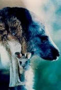 Australian Bush 1986 No Language DVDRip x264