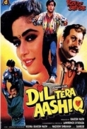Dil Tera Aashiq 1993 Hindi WEB HDRip 480p