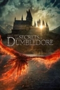 Fantastic.Beasts.The.Secrets.of.Dumbledore.2022.1080p.BluRay.x265-RBG