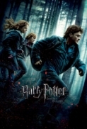Harry Potter And The Deathly Hallows [Part-I] (2010) BRRip 480P Hindi [HRG]