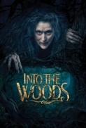 Into the Woods 2014 720p BRRip AAC x264-PSYPHER