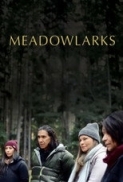 Meadowlarks 2025 1080p AMZN WEB-DL EAC3 5.1 H265