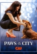 Paws in the City.2025.1080p.WEB-DL.AAC.x264-TomasMular