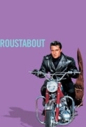 Roustabout.1964.480p.COMPLETE.DVD.x256.de4d