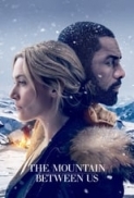 The.Mountain.Between.Us.2017.BRRip.480p.x264.AAC-VYTO [P2PDL]