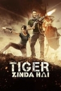 Tiger Zinda Hai 2017 1080p BluRay x265 HEVC 6CH-MRN