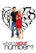 Whats Your Number [2011] DVDRip - THEATRiCAL - KvCD by DevilsSpawn (TLS Release)