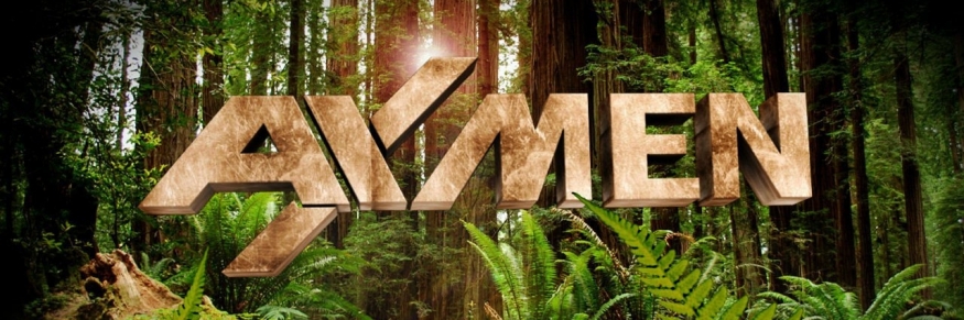 Ax Men S06E19E20 480p HDTV x264-mSD