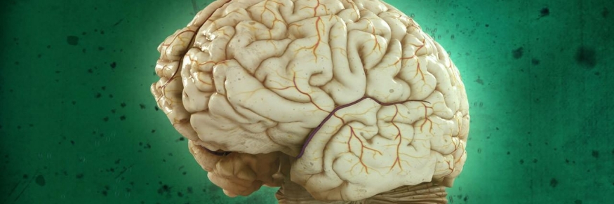 Brain Games S02E11 HDTV x264-YesTV