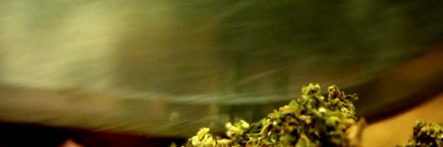 Drugs.Inc.S03E08.Zombie.Island.720p.HDTV.x264-YesTV.mkv