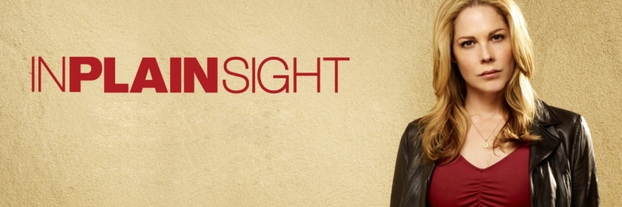 In Plain Sight S02E15 HDTV XviD-2HD.avi
